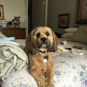 Meet your Posher, Alan